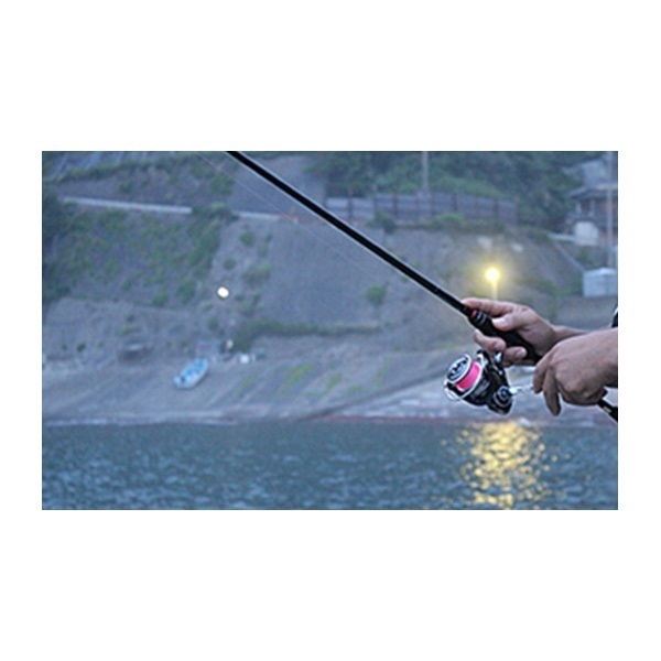 UVF月下美人デュラセンサー+Si2